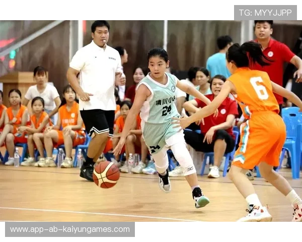 篮球在中国农村小学体育资源匮乏背景下的替代性研究,中小学篮球运动发展毕业论文 篮球在中国农村小学体育资源匮乏背景下的替代性研究,中小学篮球运动发展毕业论文