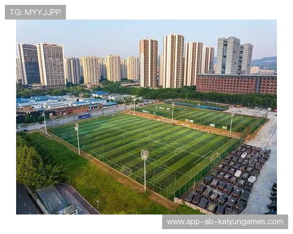 足球场馆周边商业开发的社区参与模式研究，足球场周边产业
